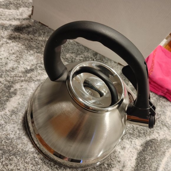 Large Stainless Steel Tea Pot/Kettle - Picture 9 of 10